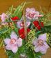 F&eacute;erie d'orchid&eacute;es