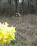 Vive le printemps